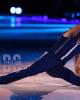 Elvis Stojko